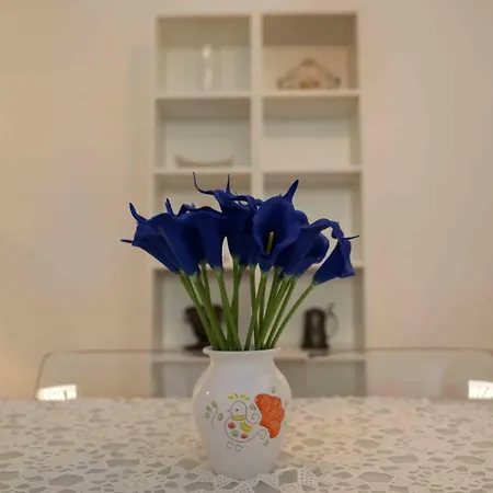 Apartman Casa Ada